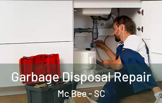  Garbage Disposal Repair Mc Bee - SC