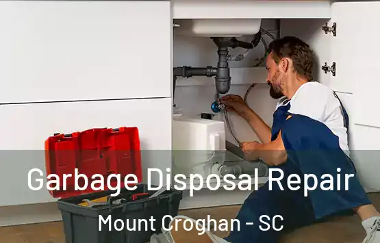  Garbage Disposal Repair Mount Croghan - SC