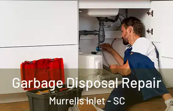  Garbage Disposal Repair Murrells Inlet - SC