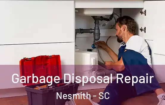  Garbage Disposal Repair Nesmith - SC