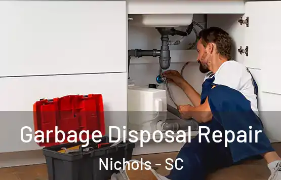  Garbage Disposal Repair Nichols - SC