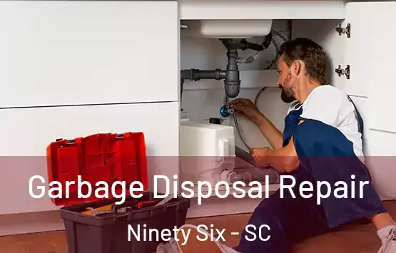  Garbage Disposal Repair Ninety Six - SC
