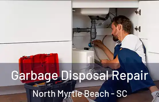  Garbage Disposal Repair North Myrtle Beach - SC