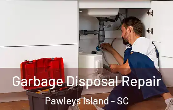  Garbage Disposal Repair Pawleys Island - SC