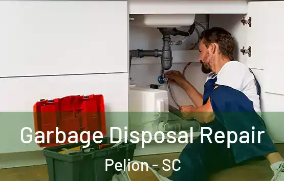  Garbage Disposal Repair Pelion - SC