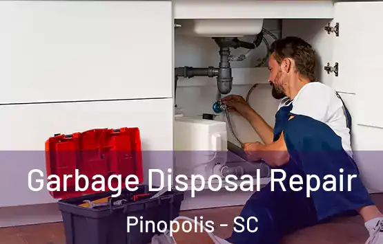  Garbage Disposal Repair Pinopolis - SC