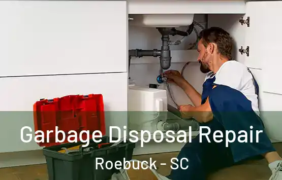  Garbage Disposal Repair Roebuck - SC