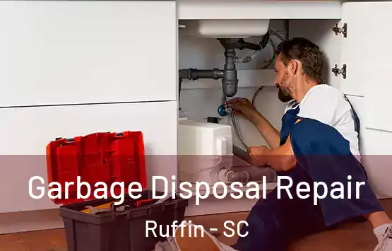  Garbage Disposal Repair Ruffin - SC