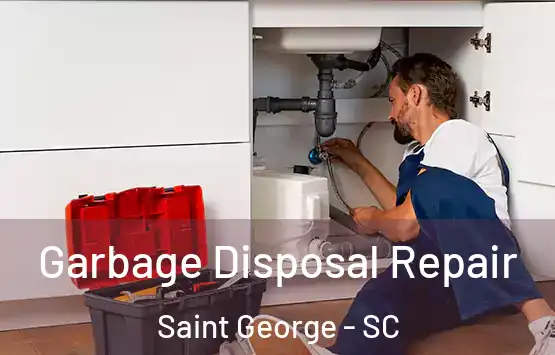 Garbage Disposal Repair Saint George - SC