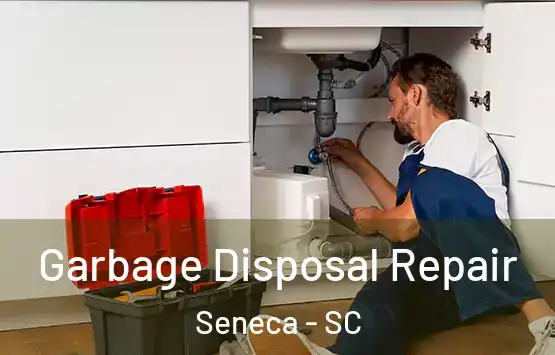  Garbage Disposal Repair Seneca - SC