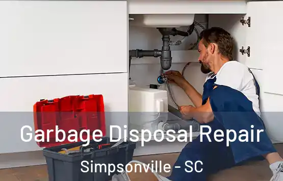  Garbage Disposal Repair Simpsonville - SC