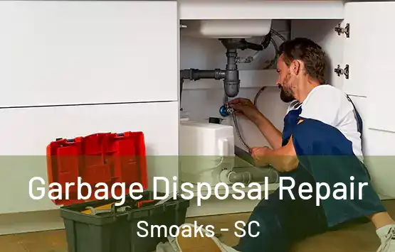  Garbage Disposal Repair Smoaks - SC