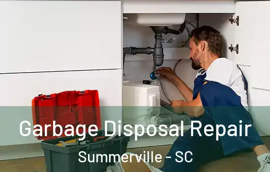  Garbage Disposal Repair Summerville - SC