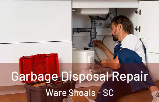  Garbage Disposal Repair Ware Shoals - SC