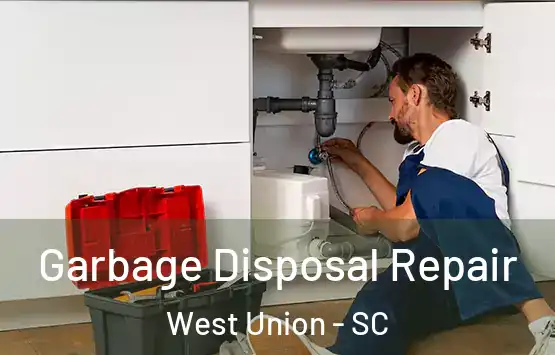  Garbage Disposal Repair West Union - SC