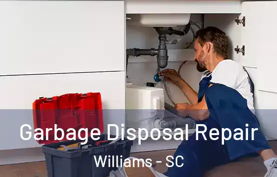 Garbage Disposal Repair Williams - SC