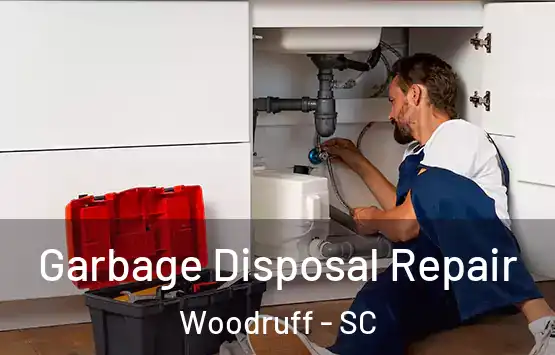  Garbage Disposal Repair Woodruff - SC
