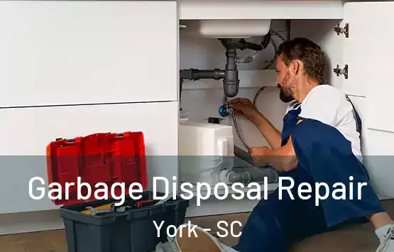  Garbage Disposal Repair York - SC