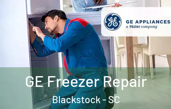  GE Freezer Repair Blackstock - SC