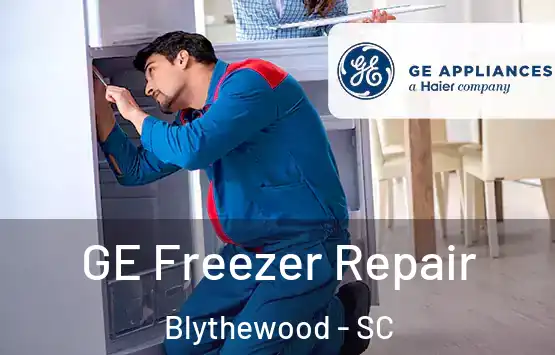  GE Freezer Repair Blythewood - SC
