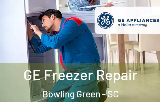  GE Freezer Repair Bowling Green - SC
