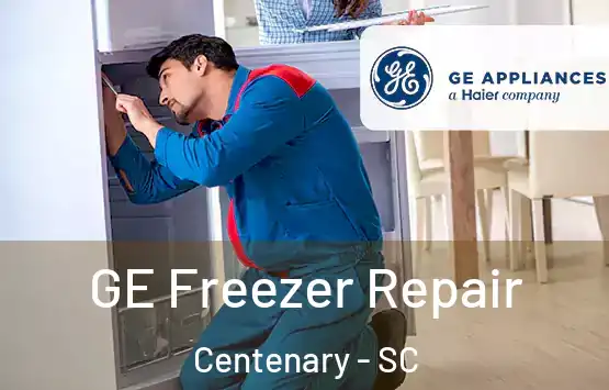  GE Freezer Repair Centenary - SC