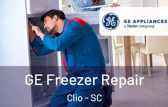  GE Freezer Repair Clio - SC