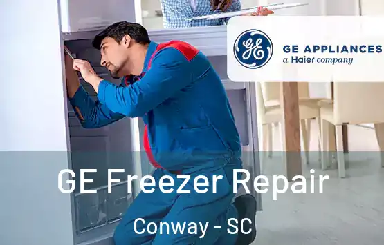  GE Freezer Repair Conway - SC