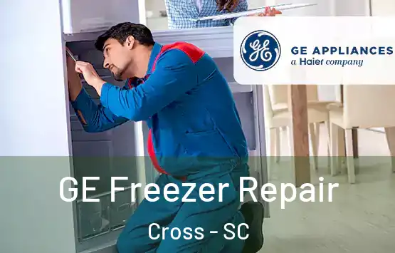  GE Freezer Repair Cross - SC