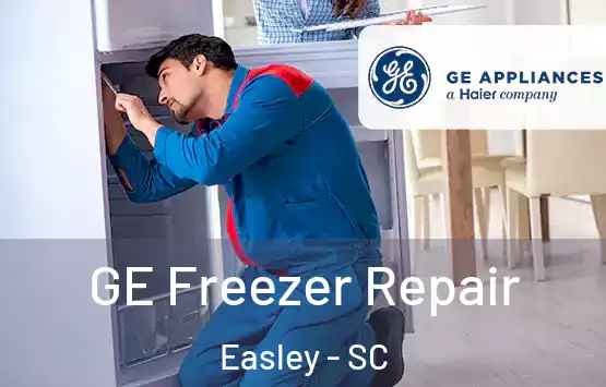  GE Freezer Repair Easley - SC