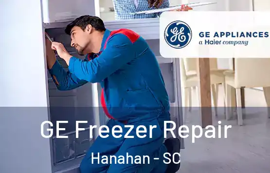  GE Freezer Repair Hanahan - SC