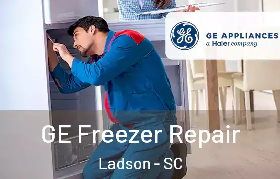  GE Freezer Repair Ladson - SC