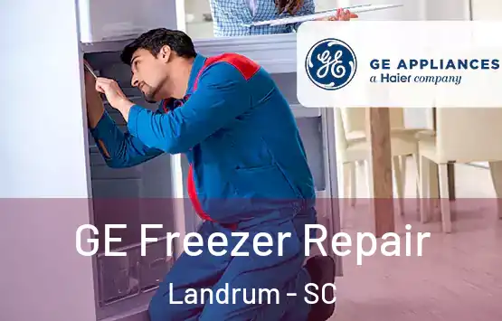  GE Freezer Repair Landrum - SC