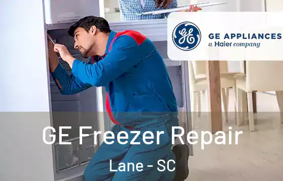  GE Freezer Repair Lane - SC