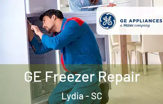  GE Freezer Repair Lydia - SC