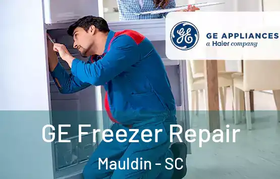  GE Freezer Repair Mauldin - SC