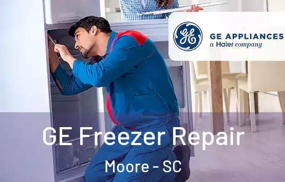  GE Freezer Repair Moore - SC