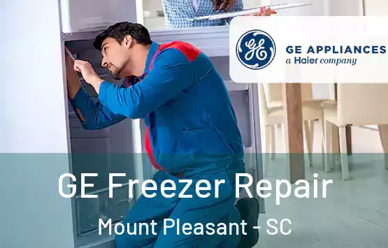  GE Freezer Repair Mount Pleasant - SC