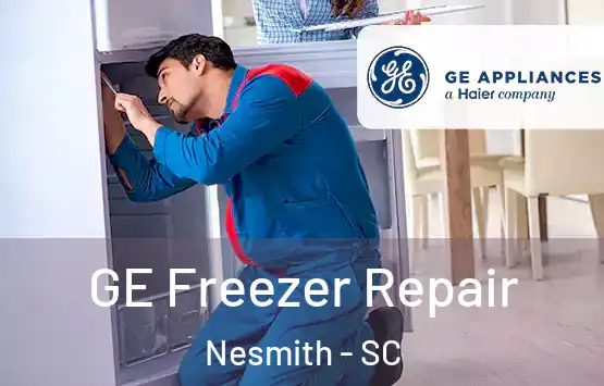  GE Freezer Repair Nesmith - SC