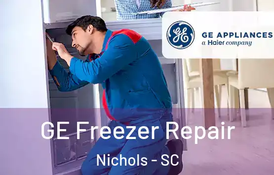  GE Freezer Repair Nichols - SC