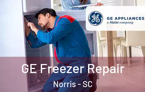  GE Freezer Repair Norris - SC