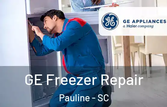  GE Freezer Repair Pauline - SC