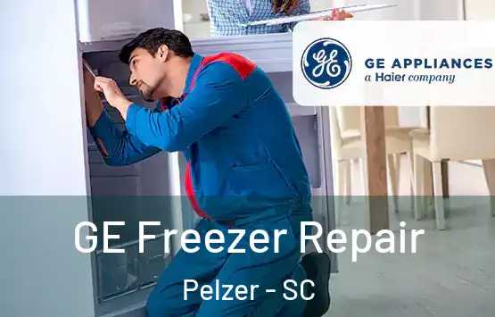 GE Freezer Repair Pelzer - SC