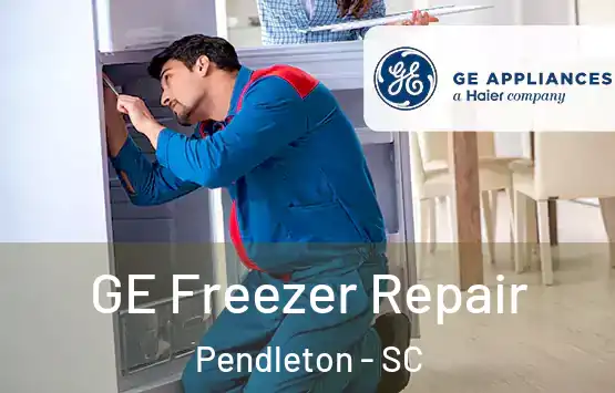  GE Freezer Repair Pendleton - SC