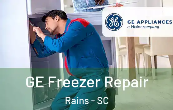  GE Freezer Repair Rains - SC