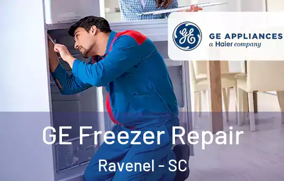  GE Freezer Repair Ravenel - SC