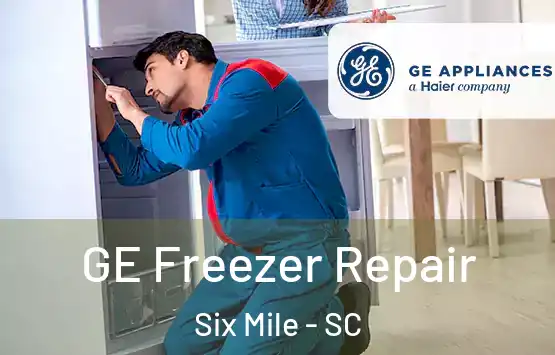  GE Freezer Repair Six Mile - SC