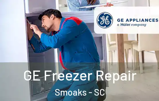  GE Freezer Repair Smoaks - SC