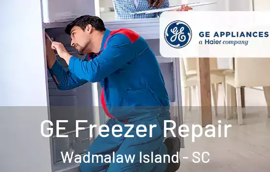  GE Freezer Repair Wadmalaw Island - SC