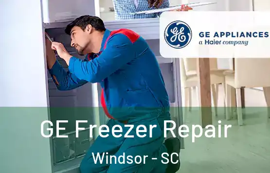  GE Freezer Repair Windsor - SC